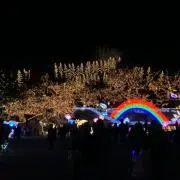 かの画像