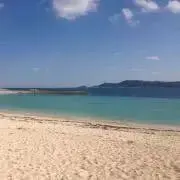 rinの画像