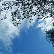 yayaの画像