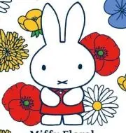 まるこちゃんの画像