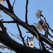 みずの画像