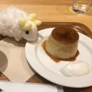 しまこ