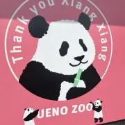 ささくまʕ•ᴥ•ʔの画像