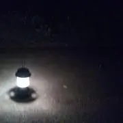 トムやん