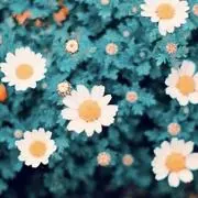 まれの画像