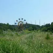 スッキリの画像