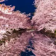 ポーチの画像