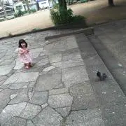 meyo
