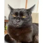 太郎