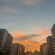 Rの画像