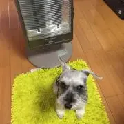 ベル