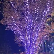 たろの画像