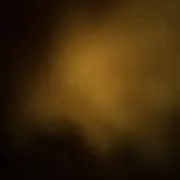 はな