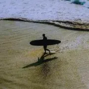 Eーnatureの画像