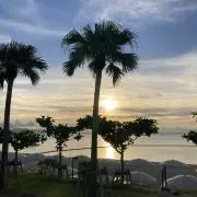 tibiの画像