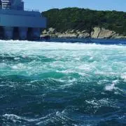 ryoの画像