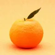 みかん