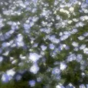 なな いいね不要の画像