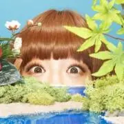 りんごの画像