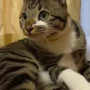 18の画像