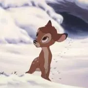 みみの画像
