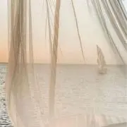 Soa ＿＿の画像
