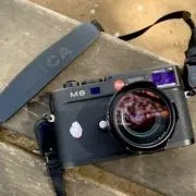 fanticalfuryの画像