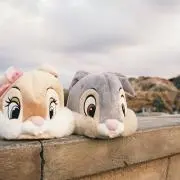 maruc24の画像