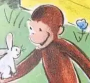 ゆーたんの画像