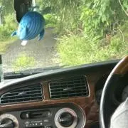 rtyou022の画像