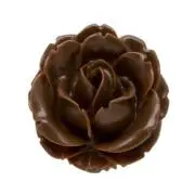 roserose