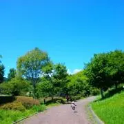 n.b.japan