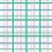 ひまわり๑の画像