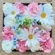 かおりの画像