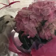 KANON☆★の画像