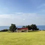 momoの画像