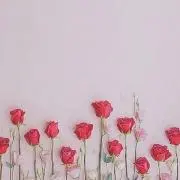 のあの画像