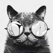 チャコチャンマンの画像