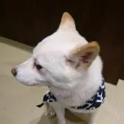 amamiの画像