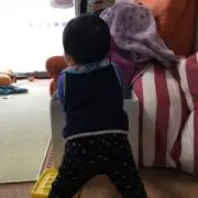 おめぐの画像
