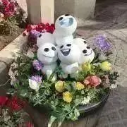 水瀬(まとめ買いOK)の画像