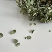 ☆Gunniiの画像