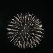 wrchの画像