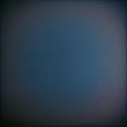 雪と花の画像