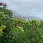 わたなべの画像