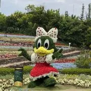 あきこの画像