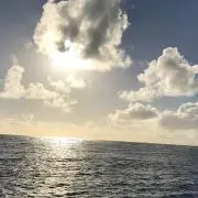 ぴかぴか★の画像