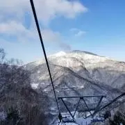マサの画像
