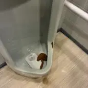 ティーチの画像
