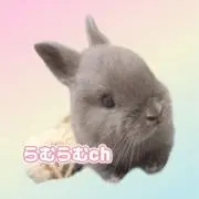 RC**の画像